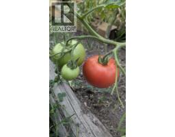 6930 Big Bar Road, Clinton, BC V0K1K0 Photo 5