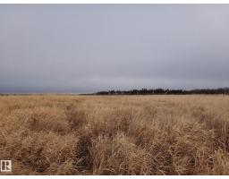 5 9 53 28 West Of The 5th Rd, Rural Yellowhead, AB T0E0T0 Photo 3