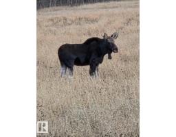 Sw 11 69 21 4 145 Acres, Rural Athabasca County, AB T9S2B3 Photo 4