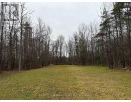 111 Carney Street, Georgian Bluffs, ON N4K6V5 Photo 5