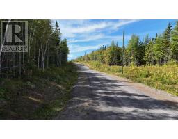 Lot 25 Beaver Lane, Grantville, NS B0E1J0 Photo 5