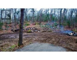 0 Germania Road, Bracebridge, ON P1P1R3 Photo 3