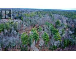 0 Germania Road, Bracebridge, ON P1P1R3 Photo 4