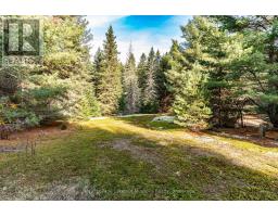 321 Cardwell Lake Road, Huntsville, ON P0B1M0 Photo 5