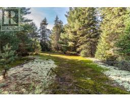 321 Cardwell Lake Road, Huntsville, ON P0B1M0 Photo 3