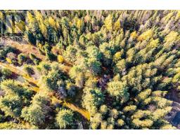 321 Cardwell Lake Road, Huntsville, ON P0B1M0 Photo 4