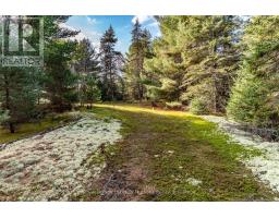 321 Cardwell Lake Road, Huntsville, ON P0B1M0 Photo 2