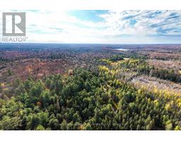 267 Cardwell Lake Road, Huntsville, ON P0B1M0 Photo 4