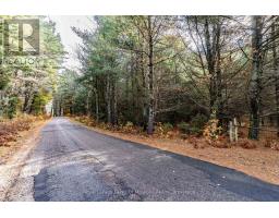 267 Cardwell Lake Road, Huntsville, ON P0B1M0 Photo 3