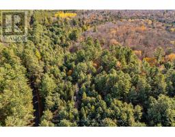 267 Cardwell Lake Road, Huntsville, ON P0B1M0 Photo 5