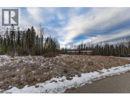 160 Meikle Avenue, Tumbler Ridge, BC V0C2W0 Photo 3
