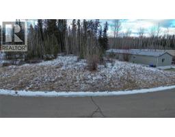 160 Meikle Avenue, Tumbler Ridge, BC V0C2W0 Photo 2