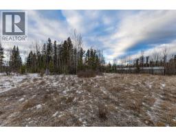 160 Meikle Avenue, Tumbler Ridge, BC V0C2W0 Photo 4