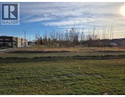 2412 20th Street, Didsbury, AB T0M0A2 Photo 4