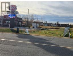 2412 20th Street, Didsbury, AB T0M0A2 Photo 5