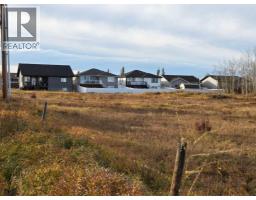 2412 20th Street, Didsbury, AB T0M0A2 Photo 3