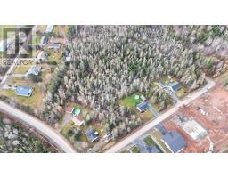 Acreage Wild Rose Drive, East Mountain, NS B6L2Y4 Photo 3