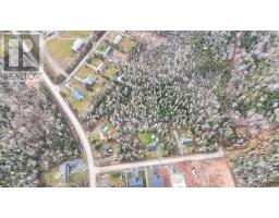 Acreage Wild Rose Drive, East Mountain, NS B6L2Y4 Photo 5