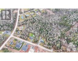 Acreage Wild Rose Drive, East Mountain, NS B6L2Y4 Photo 4