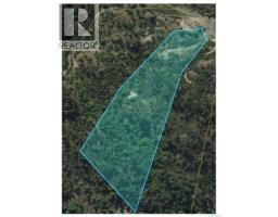 Lot 37 Goldstream Heights Dr, Shawnigan Lake, BC V0R2W3 Photo 4