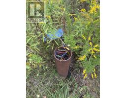 2028 Lake Road, Tatamagouche, NS B6L1G5 Photo 3