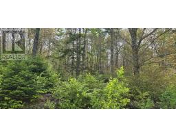 Lot 4 Nathan Croft Road Camperdown Meadows, Camperdown, NS B4V6T9 Photo 2