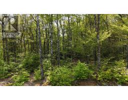 Lot 2 Nathan Croft Road Camperdown Meadows, Camperdown, NS B4V6T9 Photo 4