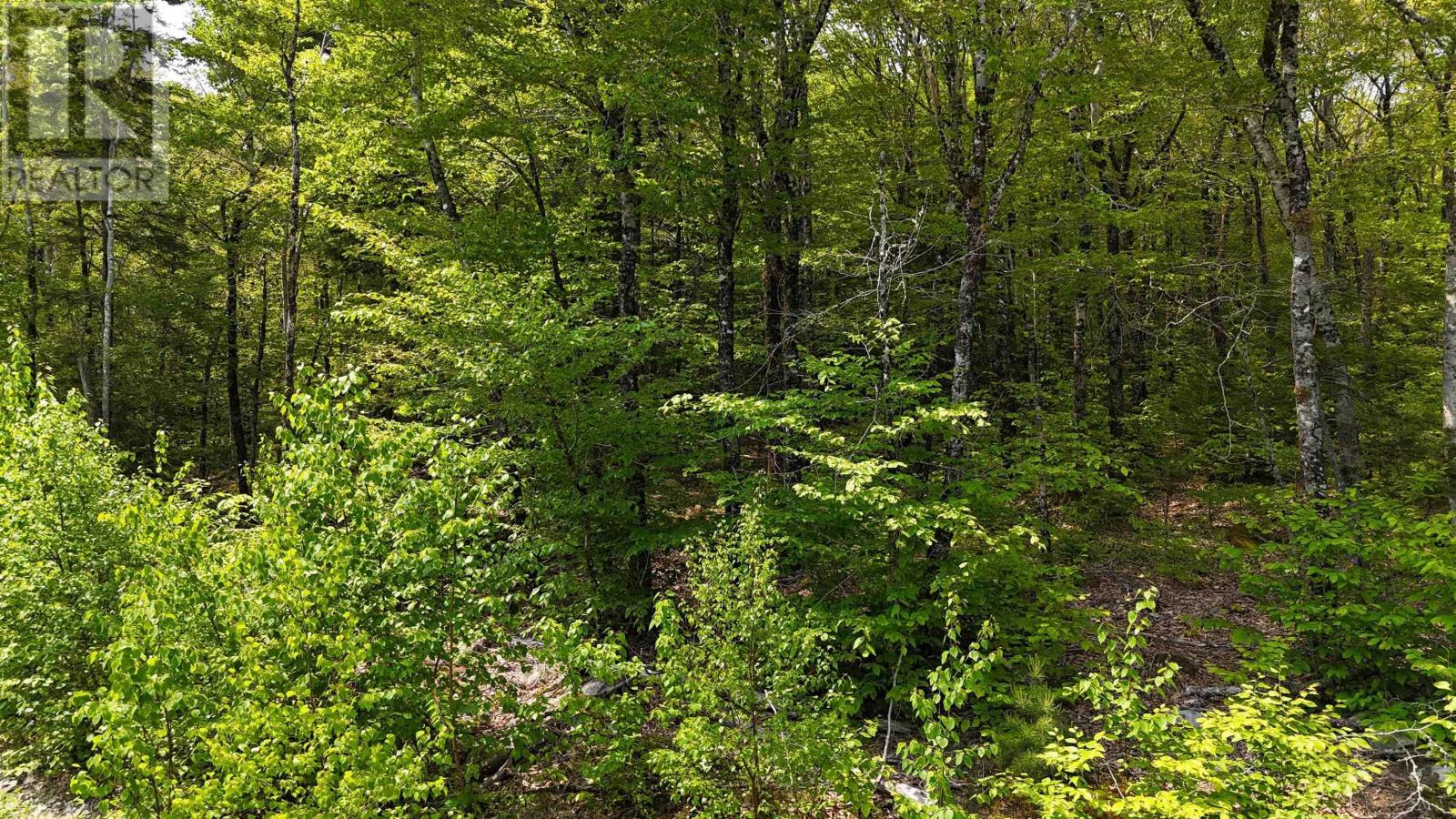 Lot 2 Nathan Croft Road Camperdown Meadows