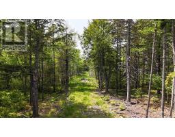 Lot 2 Nathan Croft Road Camperdown Meadows, Camperdown, NS B4V6T9 Photo 2