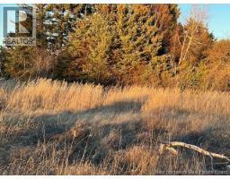 Lot Rue Principale, Tracadie, NB E1X1E3 Photo 5