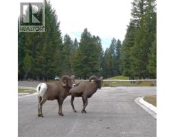 Laundry room - 900 Bighorn Boulevard Unit 931 Lot 154, Radium Hot Springs, BC V0B1M0 Photo 2