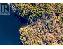 Lot 1 Island 1810 Bone Island, Georgian Bay, ON L0K1E0 Photo 3