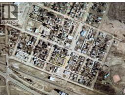 113 Hanson Street, Bawlf, AB T0B0J0 Photo 3