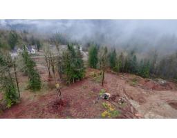 12120 Simpson Court, Mission, BC V4S1C3 Photo 3