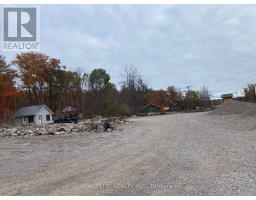 2961 County Road 36, Trent Lakes, ON K0L1J0 Photo 3