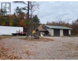 2961 County Road 36, Trent Lakes, ON K0L1J0 Photo 5