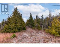 N A Little Pine Drive, Northern Bruce Peninsula, ON N0H1Z0 Photo 3