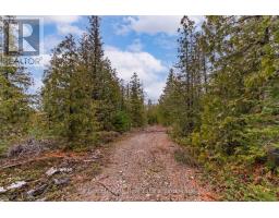 N A Little Pine Drive, Northern Bruce Peninsula, ON N0H1Z0 Photo 4