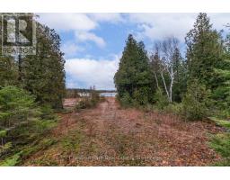 N A Little Pine Drive, Northern Bruce Peninsula, ON N0H1Z0 Photo 5