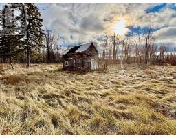 796 Portage Road, Kawartha Lakes, ON K0M2B0 Photo 3