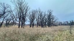 0 Pr 246 Road, Ste Agathe, MB R0G1Y1 Photo 3