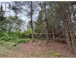 0 Hwy 608, Gillies, ON P0T2V0 Photo 2