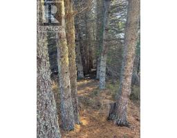 0 Hwy 608, Gillies, ON P0T2V0 Photo 4