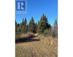 0 Hwy 608, Gillies, ON P0T2V0 Photo 5