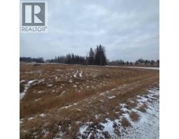 Lot 4 Range Road 175, Rural Yellowhead County, AB T7E3L4 Photo 5