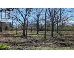 Lot 1 Rathfon Road, Wainfleet, ON L3K5V4 Photo 4