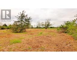 Lot 1 Rathfon Road, Wainfleet, ON L3K5V4 Photo 3