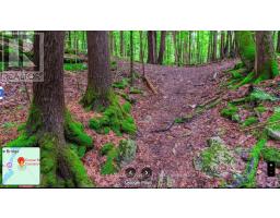 2821 12 Th Line E, Trent Hills, ON K0K2M0 Photo 4