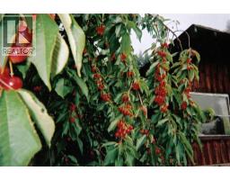 Bedroom - 408 Grandview Bench Road, Grindrod, BC V0E1Y0 Photo 4