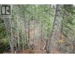 Office - 408 Grandview Bench Road, Grindrod, BC V0E1Y0 Photo 2